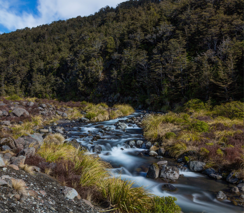 River at National park New Zealand by creative_shots