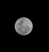 17th Jan 2019 - Full moon from National Park