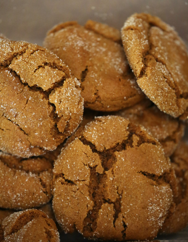 Ginger Cookies by gq