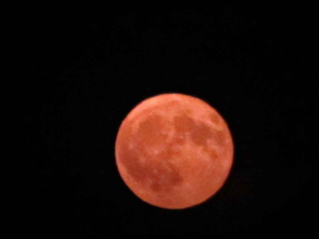Sturgeon Moon by photogypsy