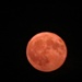 Sturgeon Moon by photogypsy