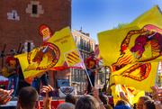 27th Aug 2018 - Dragons Catalans