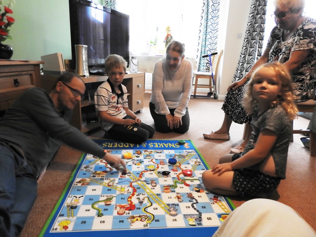 Family Games, Snakes and Ladders by oldjosh