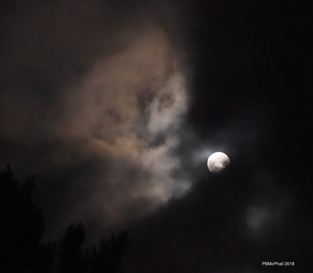 Full Moon in Cloud by selkie