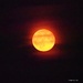 Brilliant Full Moon by selkie