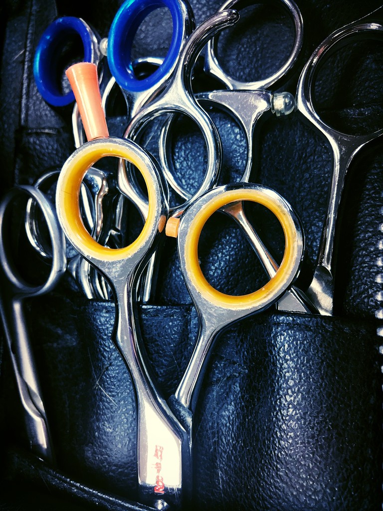 Day 345:  Hairdresser’s Tools by sheilalorson