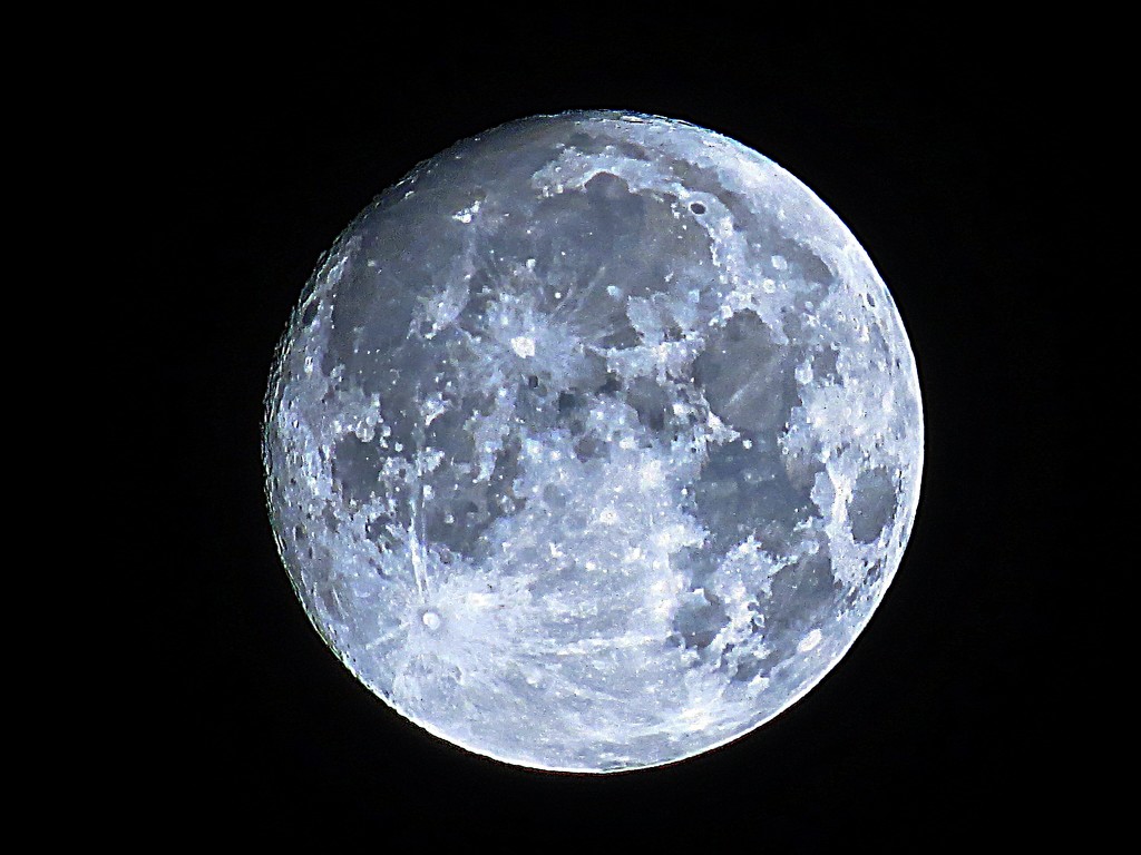 Moon Shot August 24th by olivetreeann
