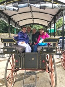 28th Aug 2018 - The Jaunting Car.