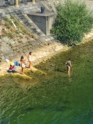 24th Aug 2018 - Bath in the Rhine river. 