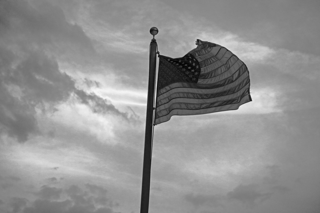 United States Flag in Black and White by april16