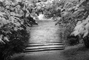 28th Aug 2018 - Stairway to ......
