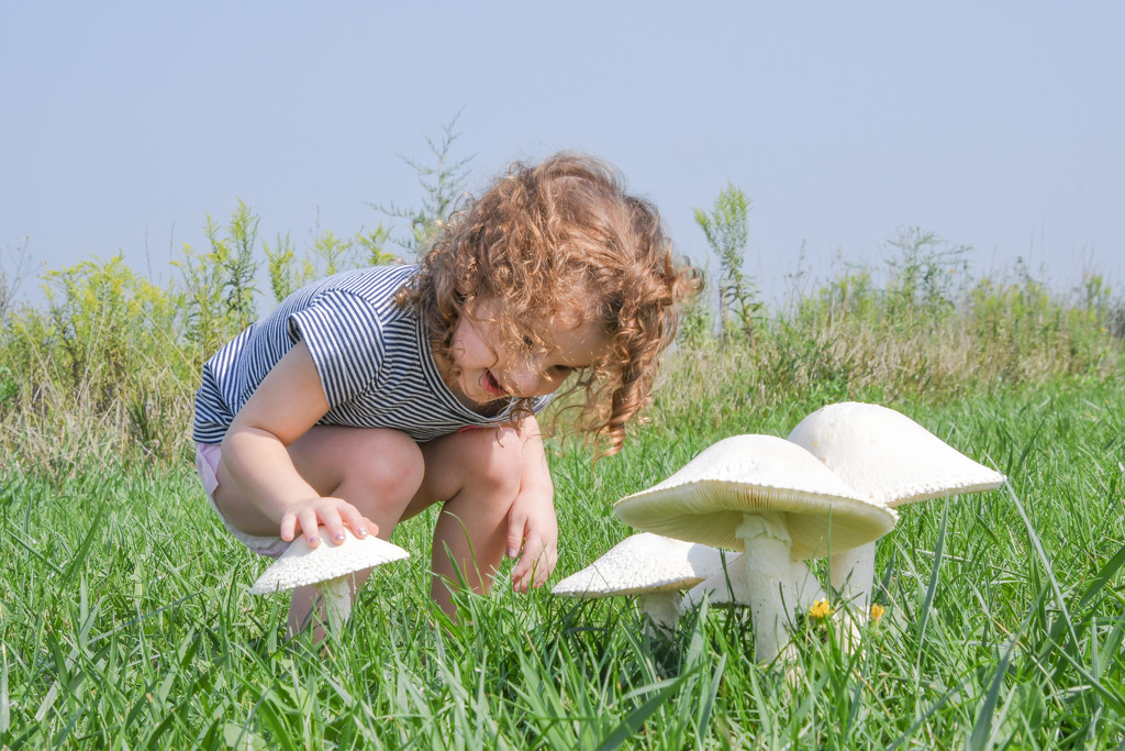 Toddler and Toadstools by kareenking