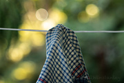 30th Aug 2018 - Hung out to Dry