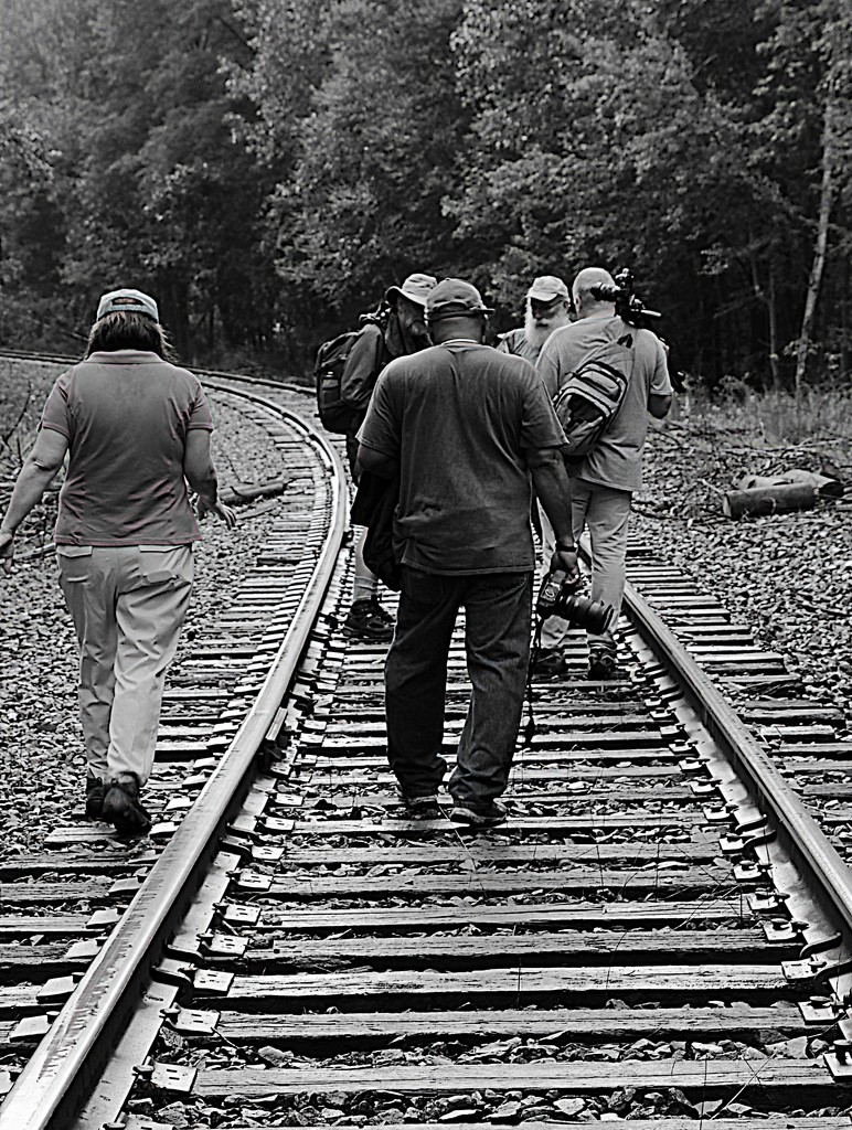 Walking the Tracks (black and white) by olivetreeann