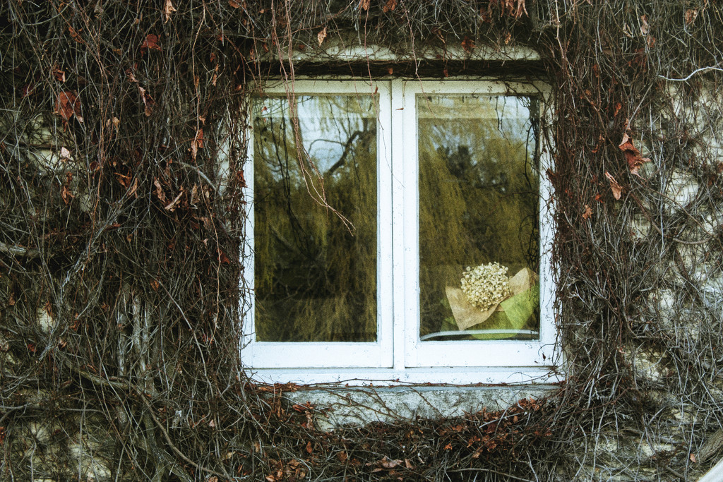 window by kali66