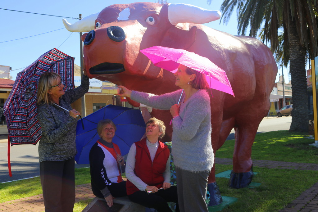 The famous Mallee bull, vanilla slice and Brolly Girls :) by gilbertwood