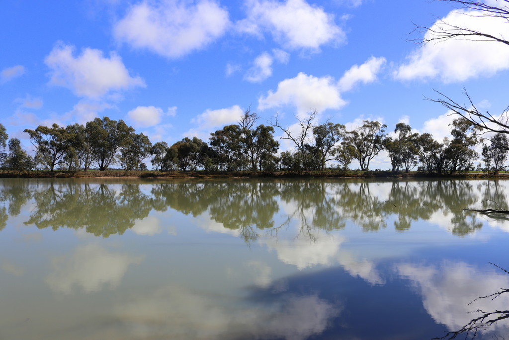 Brim reflection by gilbertwood