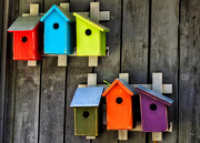 31st Aug 2018 - colorful bird houses at Garden in the Woods