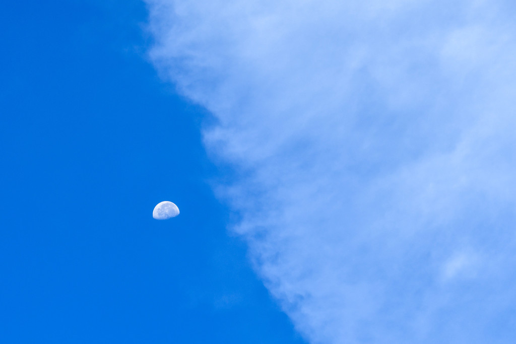 Blue moon  by danette