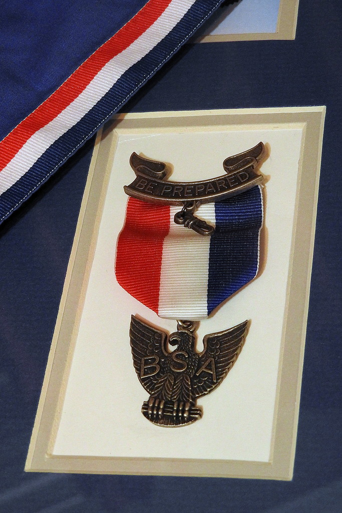 Eagle medal by homeschoolmom