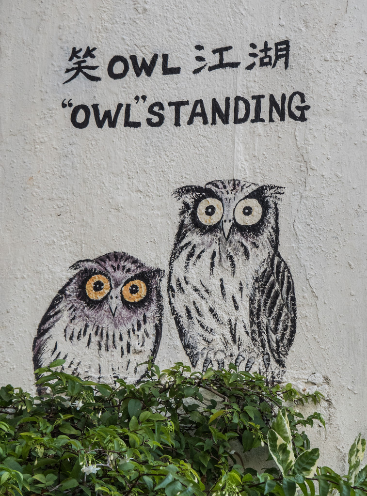 Owl Art by ianjb21