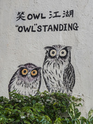 23rd Aug 2018 - Owl Art
