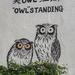 Owl Art by ianjb21