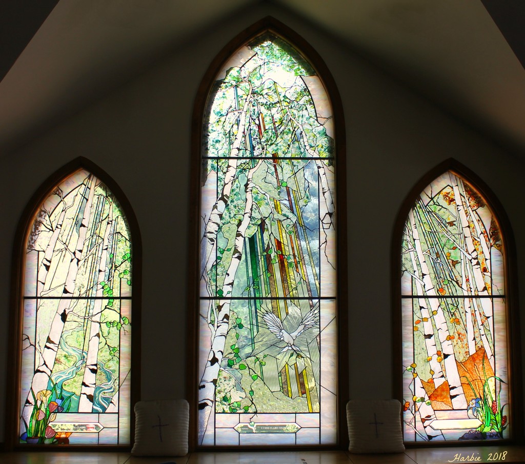 Nature in Stained Glass by harbie