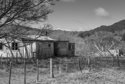 31st Jan 2019 - Black and White photo of old shed