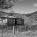 Black and White photo of old shed by creative_shots