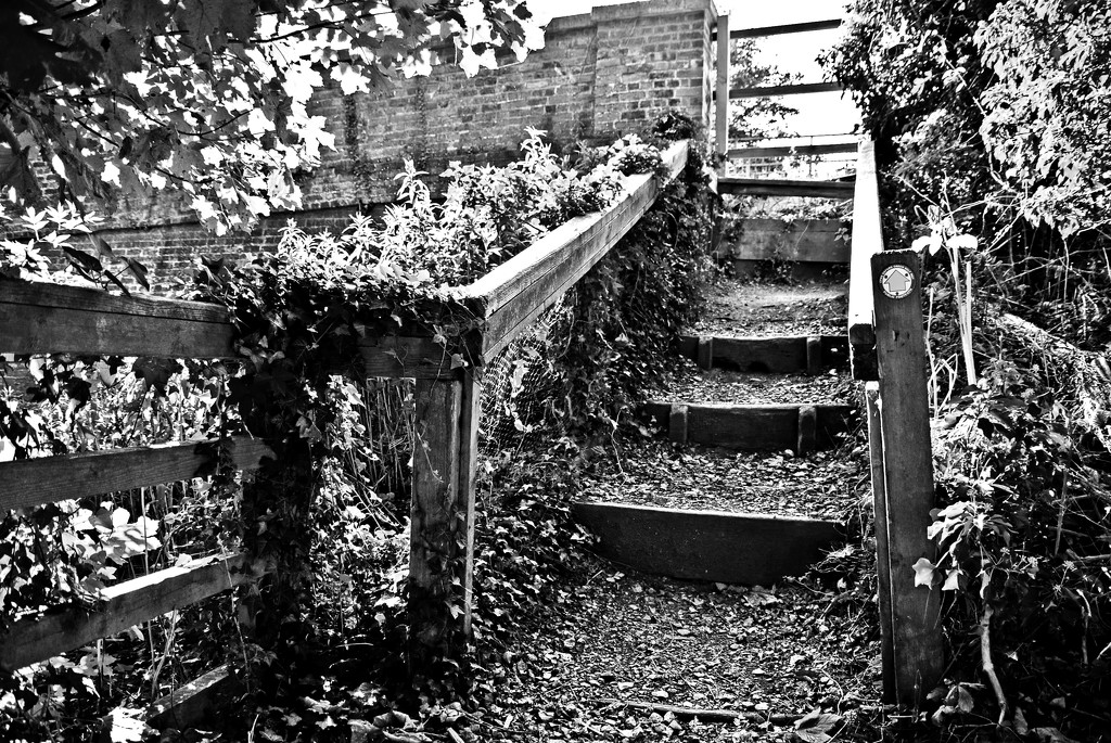 stairs 3 by ianmetcalfe
