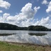 Lake Benson by graceratliff