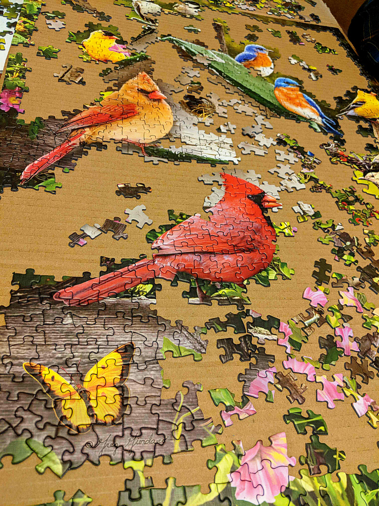 Puzzle in Progress by gq