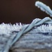 Frosty Morn by kgolab