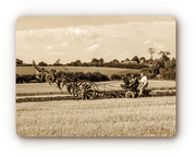 3rd Sep 2018 - Vintage Ploughing