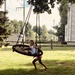 Swinging through summer by mdoelger