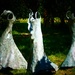 Dancing Dresses by carole_sandford