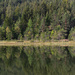 Wildsee reflections by rumpelstiltskin