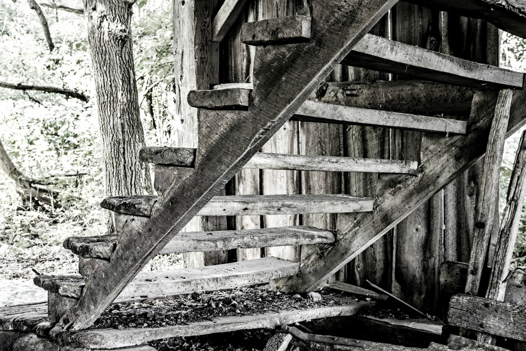 Stairs in the Old Drive Shed by farmreporter