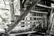 1st Sep 2018 - Stairs in the Old Drive Shed