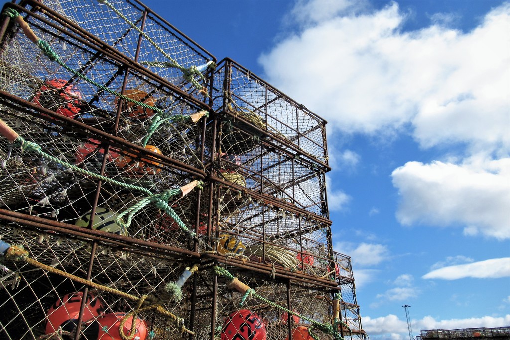 Towers of crab pots at Kirkenes by robz