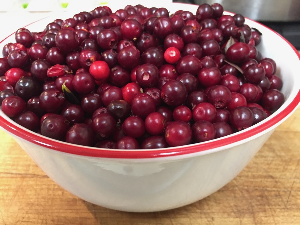 Cranberries by jetr