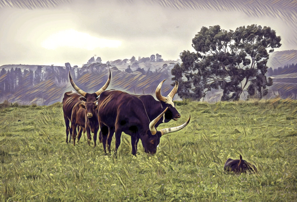 Ugandan Cattle by ludwigsdiana