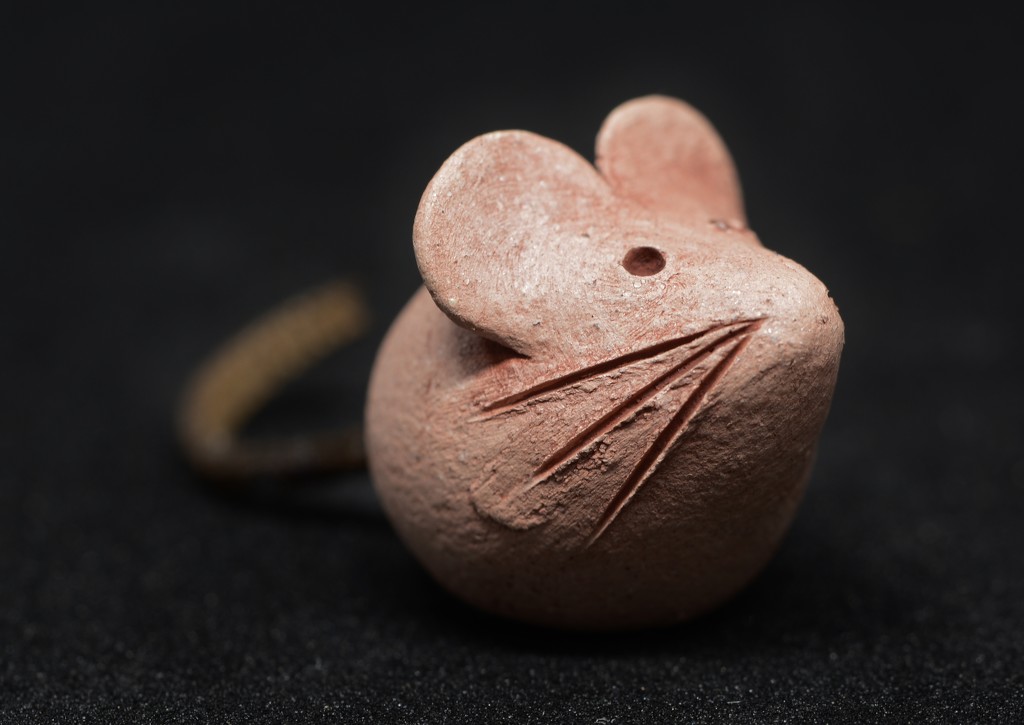 Just A Little Mouse...._DSC1788 by merrelyn