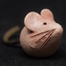 Just A Little Mouse...._DSC1788 by merrelyn