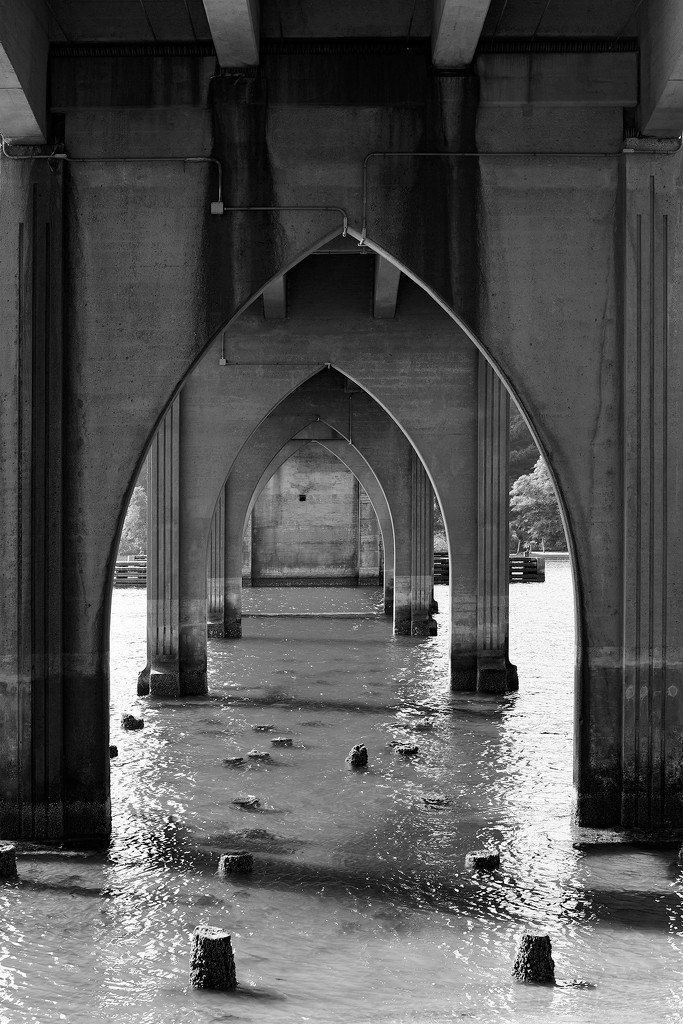 Under the Bridge SOOC 50mm Challenge  by jgpittenger