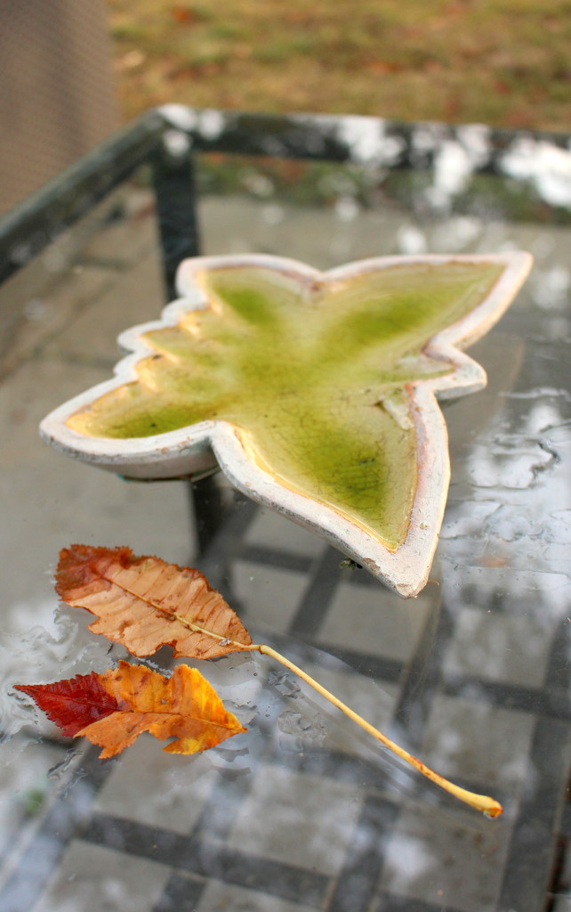 Butterfly dish and leaves by boxplayer
