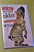 6th Sep 2018 - Wrinkles ~