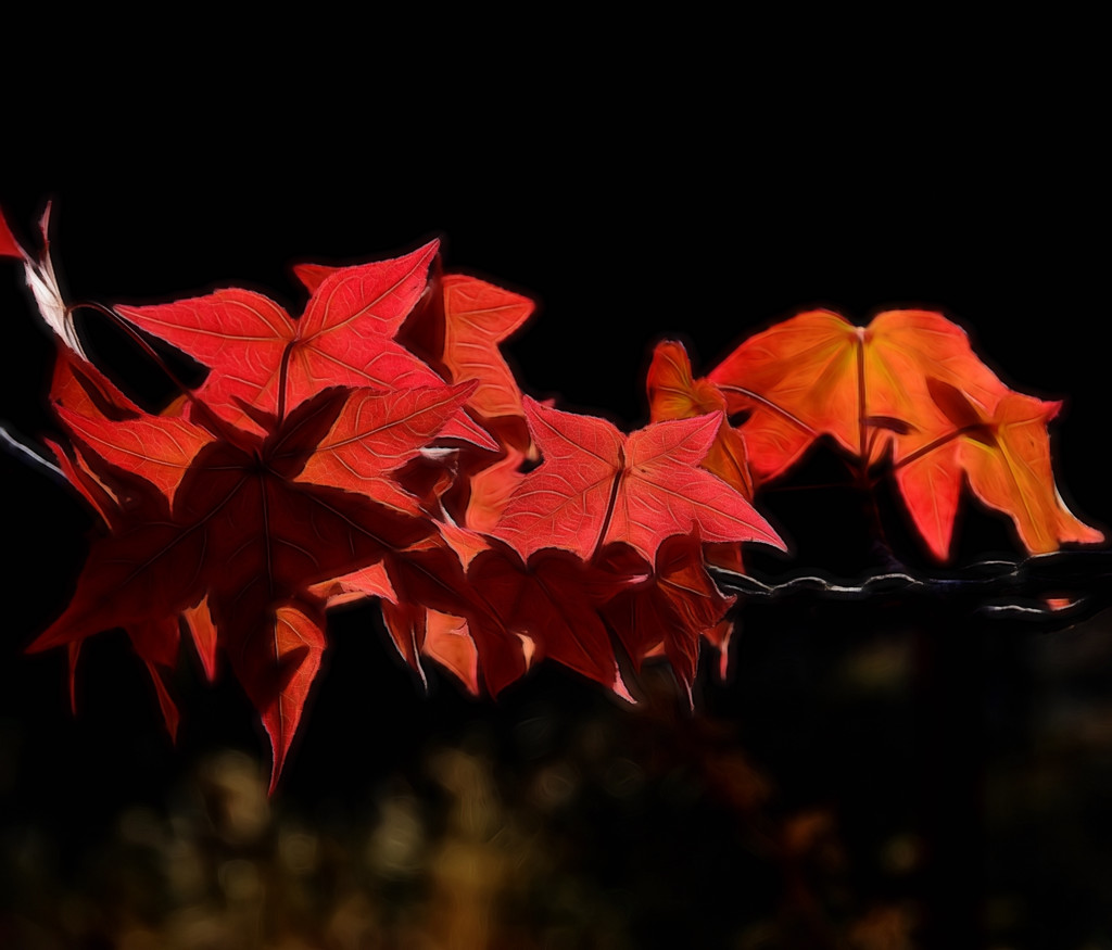 September Leaves by joysfocus