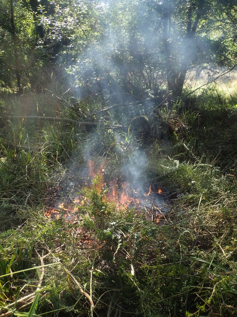 First fire of the season by mattjcuk